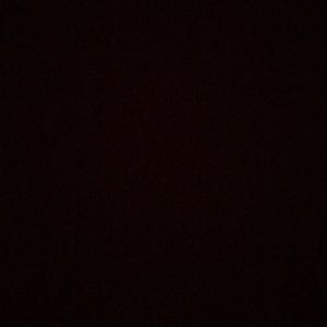 Meet your Posher, Katy